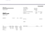 provide professional remote payroll processing and payslip service